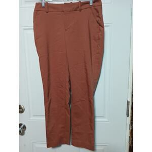 A New Day Pants Women's Size 4 Rust Brown/Orange Stretch Elastizado pants